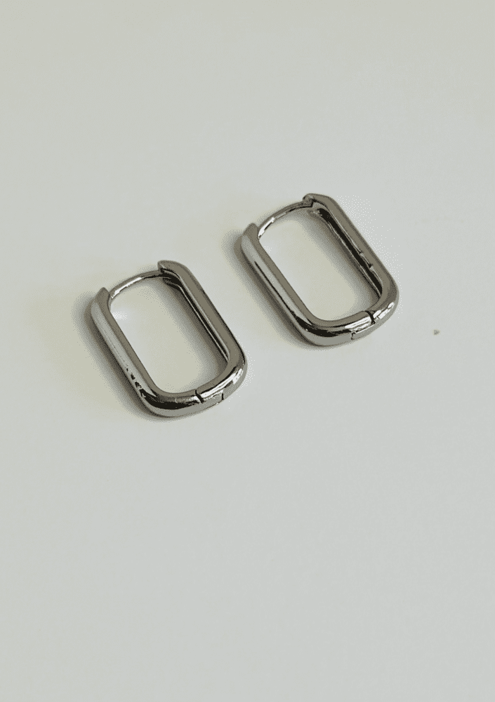 Silver Elongated Earrings
